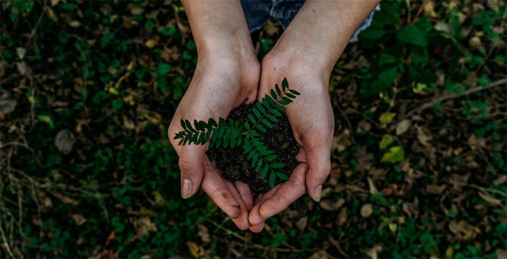 How to Live an Eco-Friendly Lifestyle on a Budget: Smart Tips