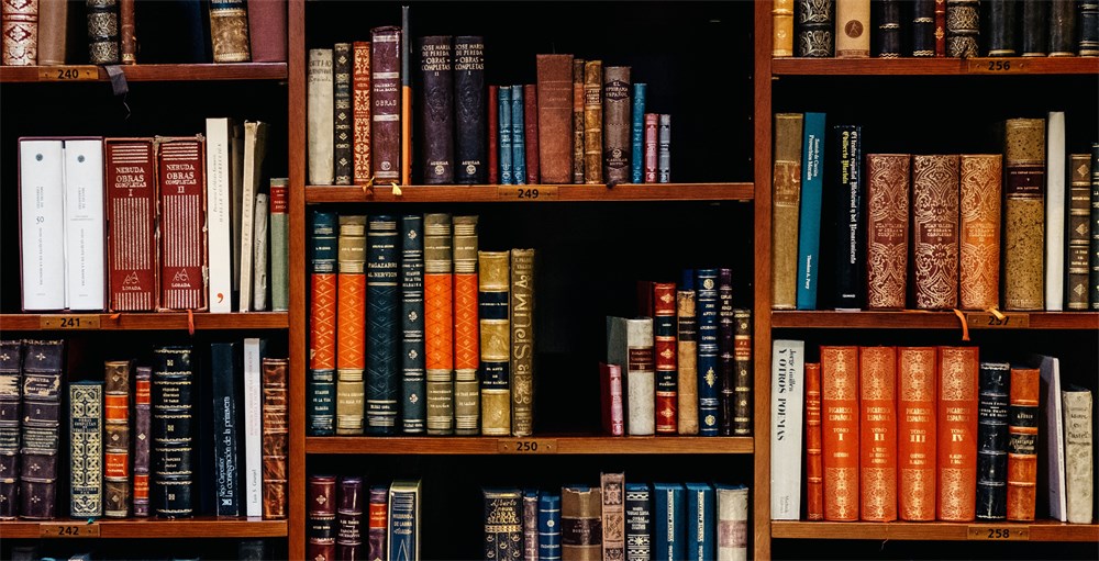 Understanding Statutes of Limitations for Debt